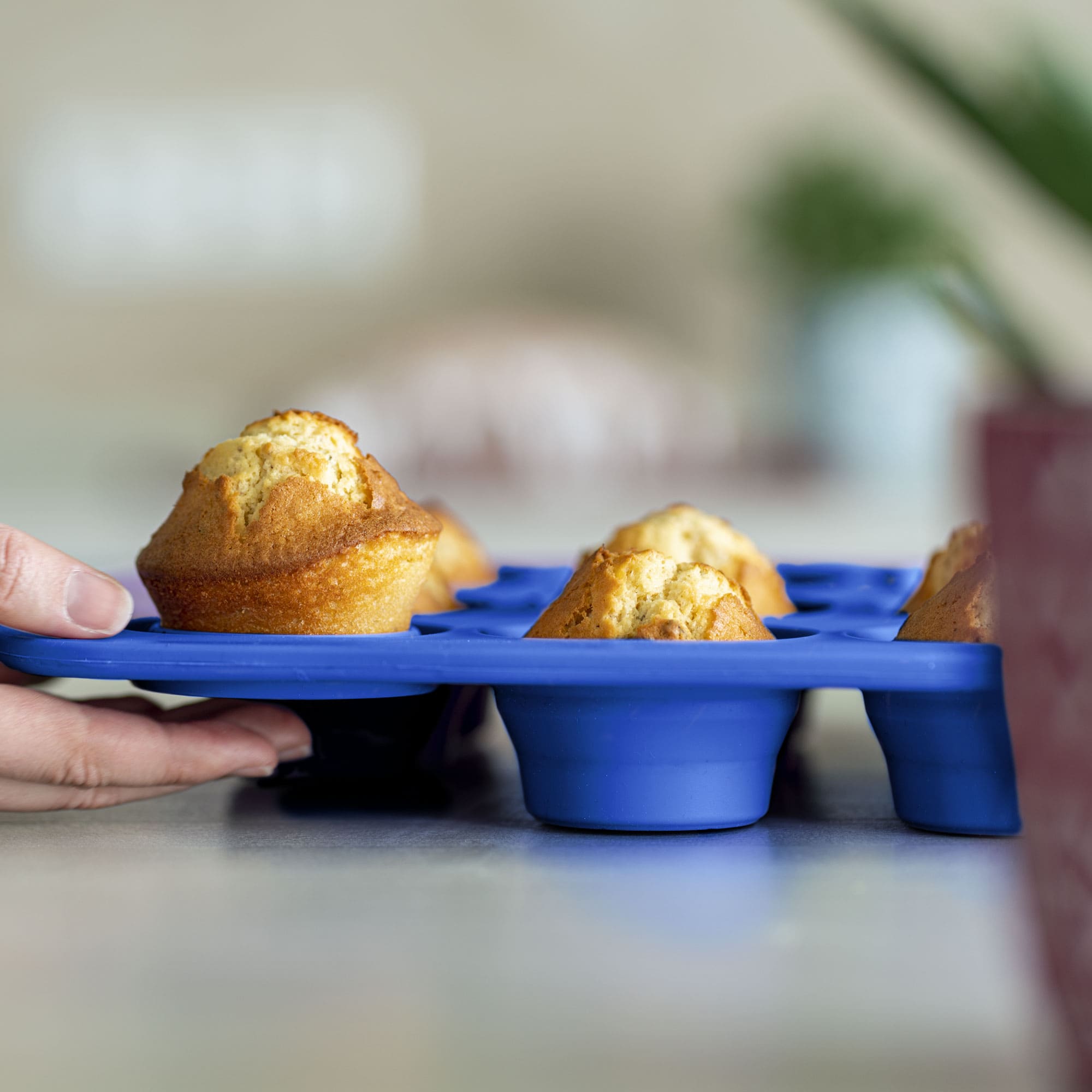 Muffin baking pan silicone blue (12-cavity)