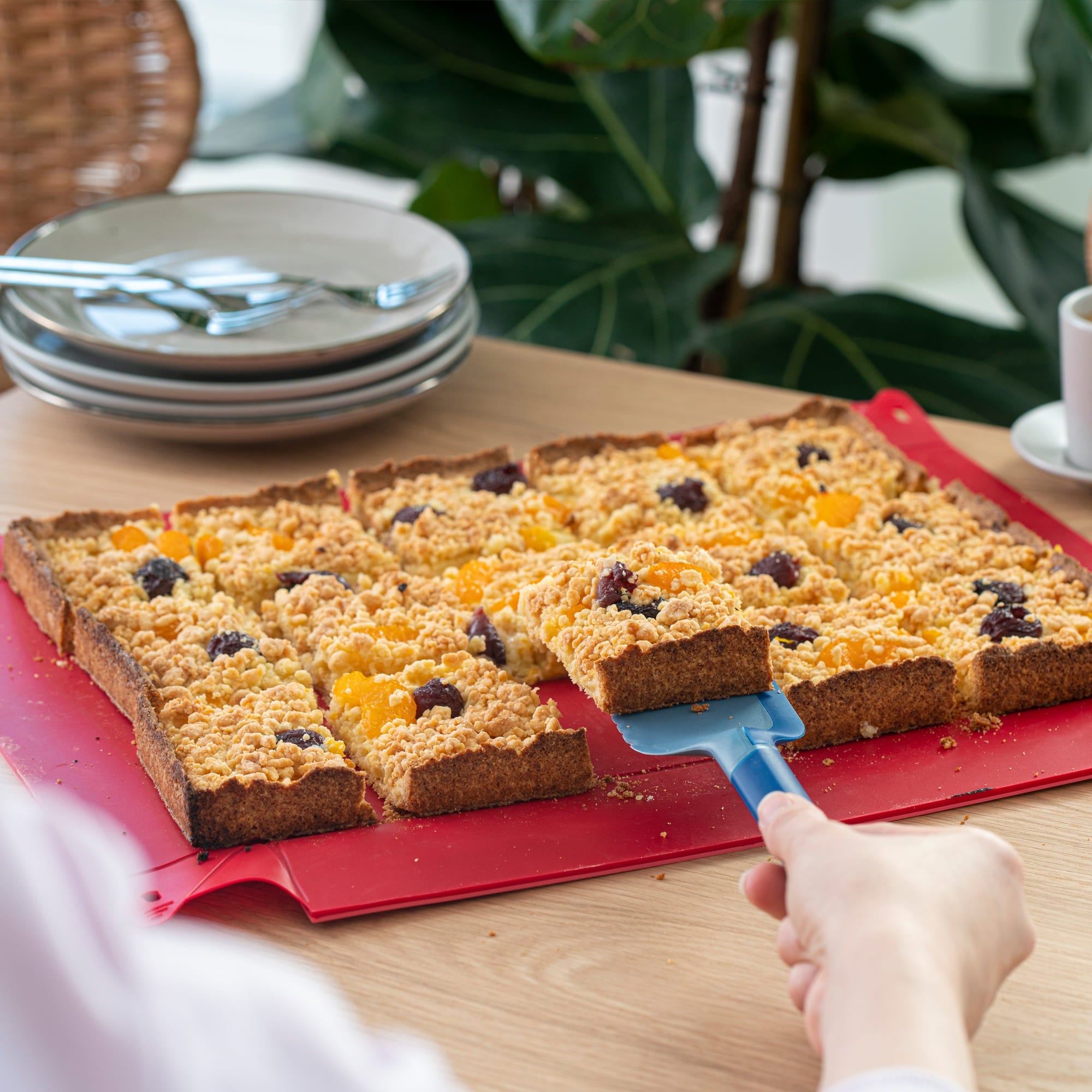 faltbaren Back- und Auflaufform von Coox, ideal zum einfachen Servieren.