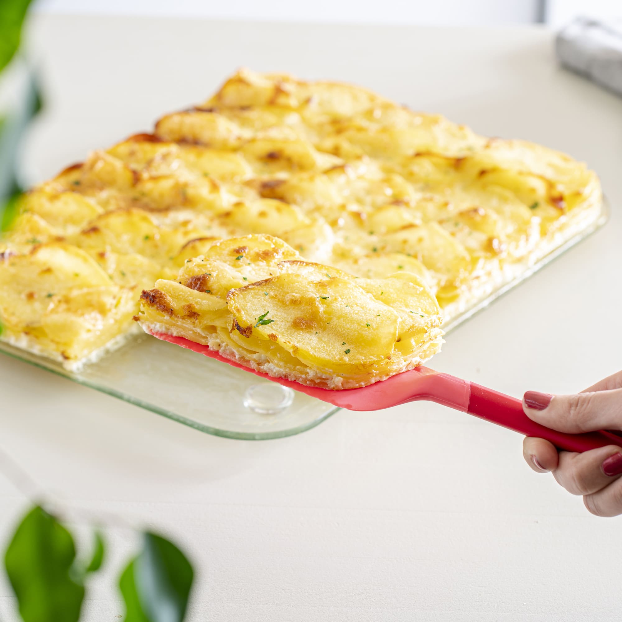 Mit dem roten Schneidheber wird eine Portion Kartoffelgratin aus der Auflaufform serviert.