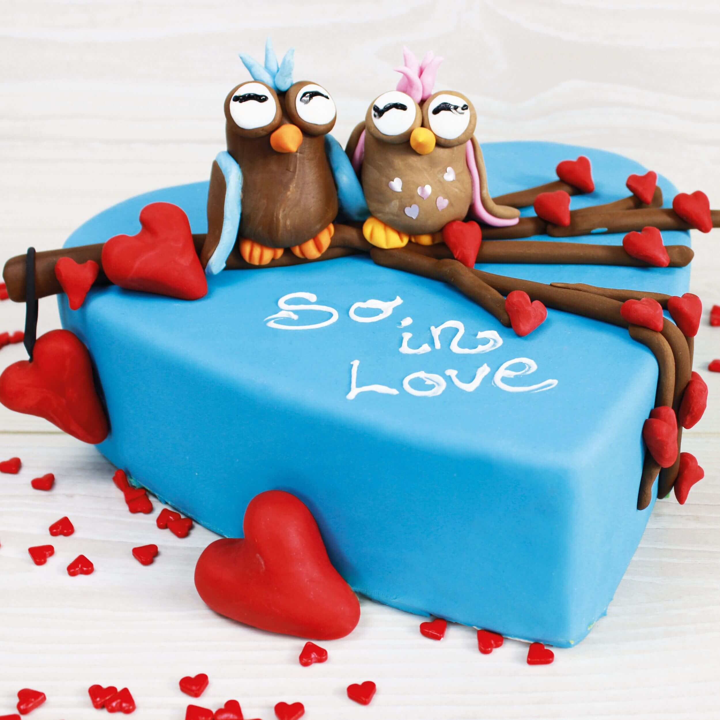 Fondant Chocolate (250g)