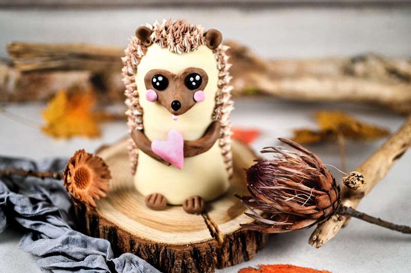 Igel-Torte