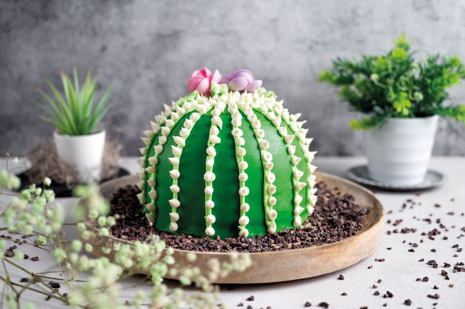 Kaktus-Torte