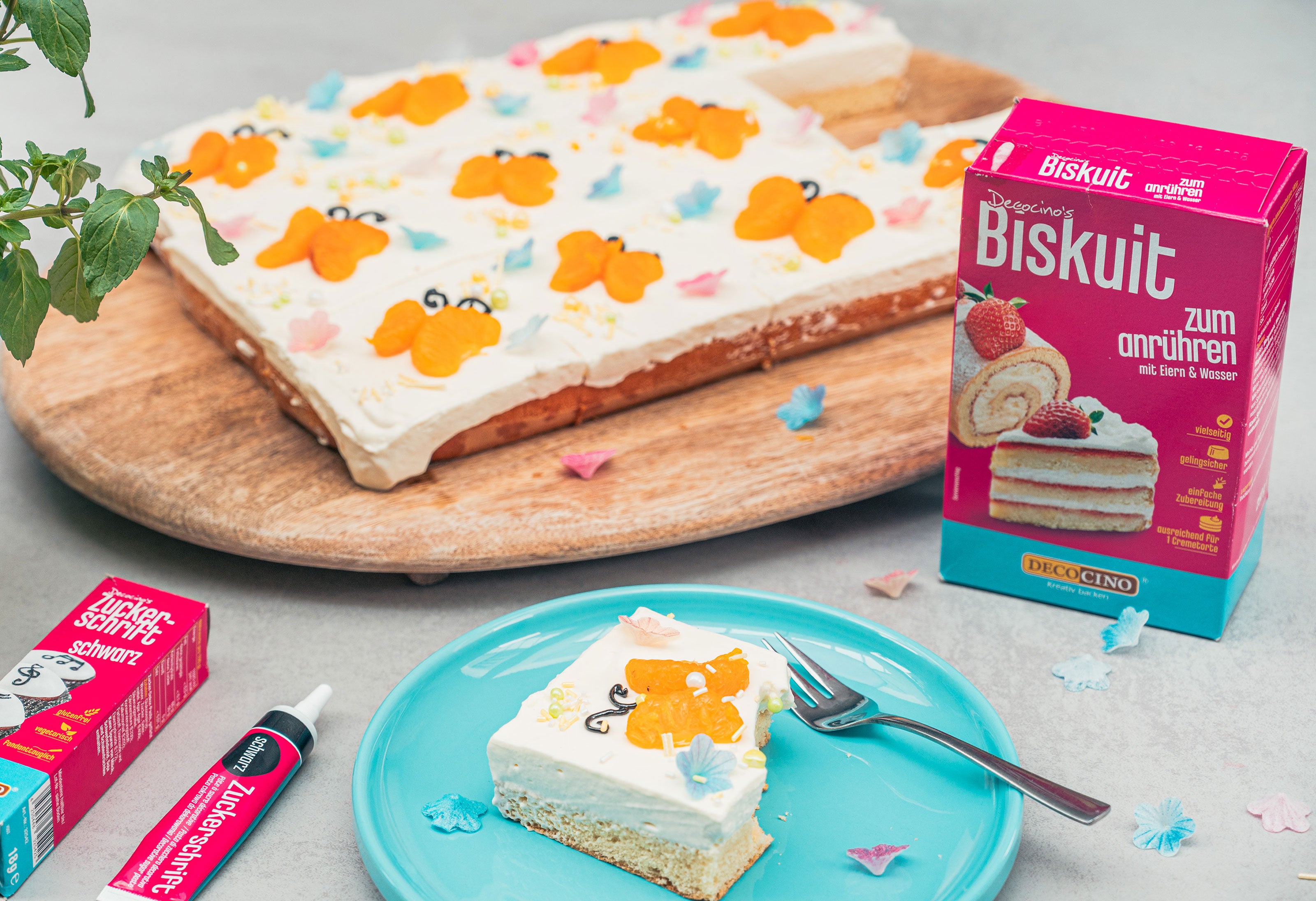 Mandarinen-Schmetterlingskuchen