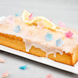 Kuchen