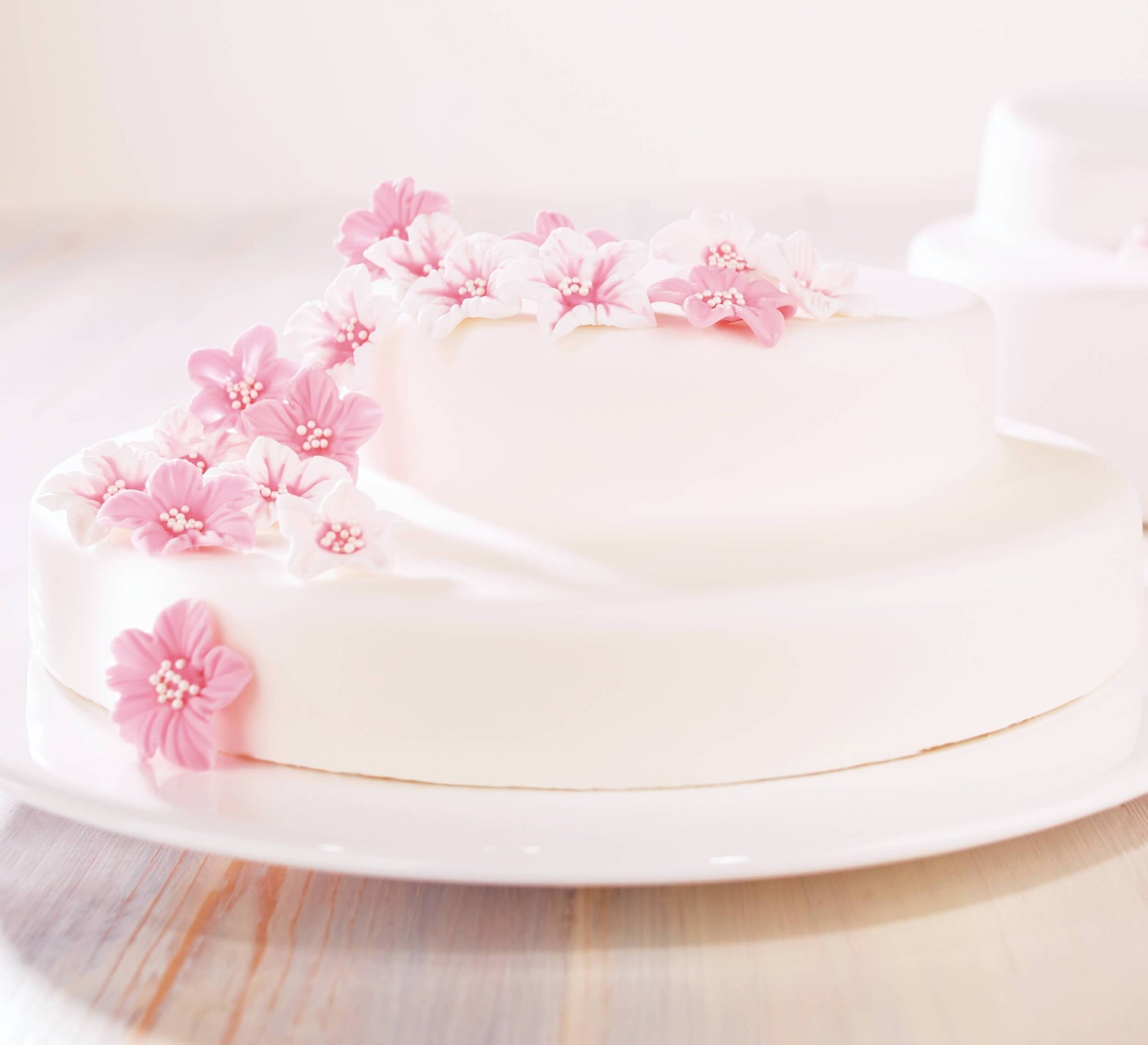 DECOCINO Fondant weiß – 7 Kilo Vorteilspack – ideal zum Verzieren von  Kuchen, Torten, Cakepops – vegan & laktosefrei : : Lebensmittel &  Getränke